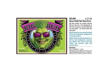 BIG BUD 500ML