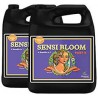 SENSI BLOOM A+B 5L