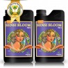 SENSI BLOOM A+B 5L