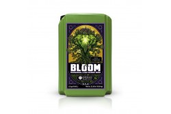 BLOOM EMERALD (0,95L)